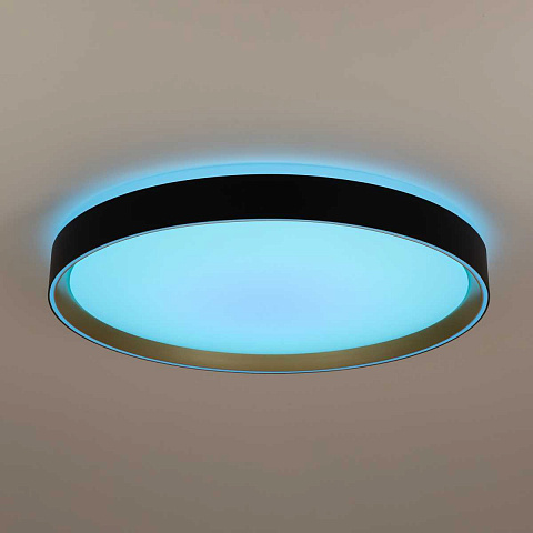 Накладной светильник Citilux CL751451G