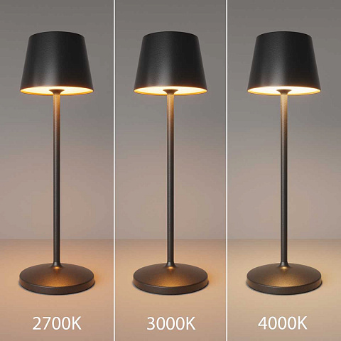 Настольная аккумуляторная лампа Maytoni Modern Nook MOD494RL-L1BK