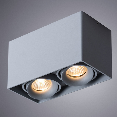 Накладной светильник ARTE Lamp A5654PL-2GY