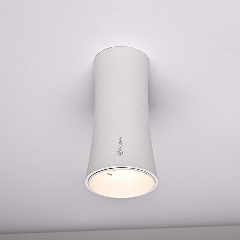 Накладной светильник ImperiumLoft 314096-26