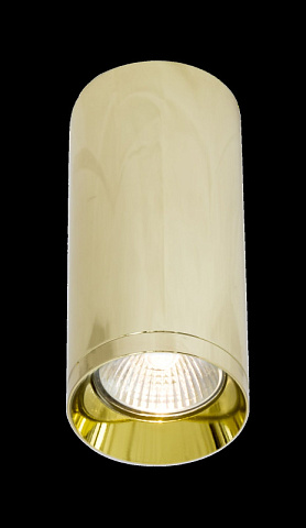 Накладной светильник Maytoni C010CL-01G