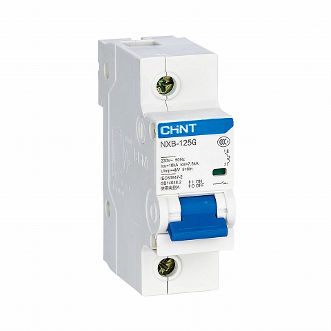 CHINT Авт. выкл.NXB-125 1P 100А 10kA х-ка C
