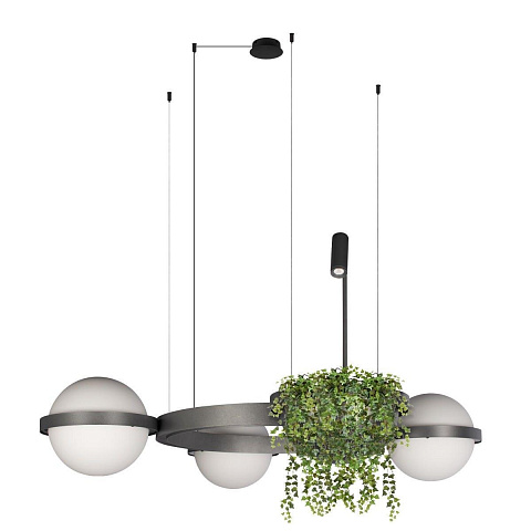 Подвесной светильник LOFT IT 10121/3 Dark grey
