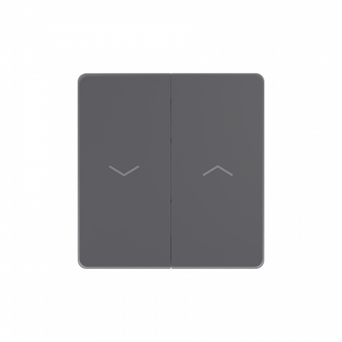 Systeme Electric Systeme Infinity Вулканический пепел Выключатель для жалюзи, 10А