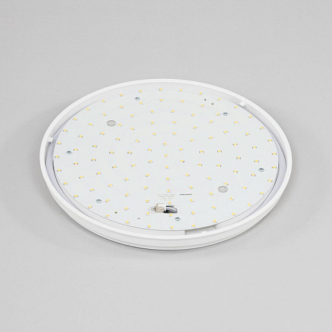 Накладной уличный светильник Citilux CL702161N