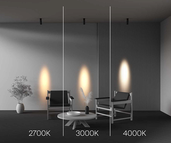 Спот Maytoni C055CL-L12W4K-SS-B