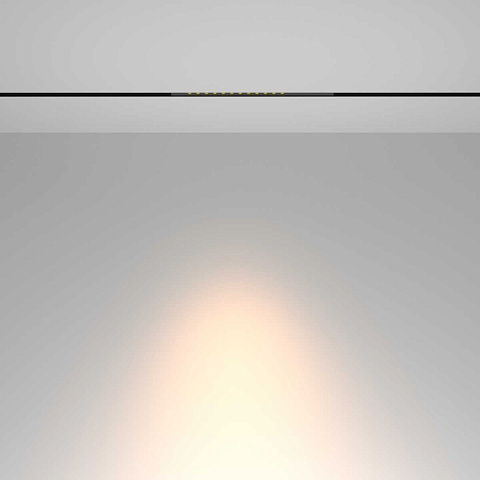 Светильник на шине Maytoni TR232-2-10W3K-B