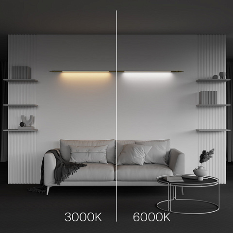 Светильник на шине Maytoni C100CL-L1000-24W3-6K-BS