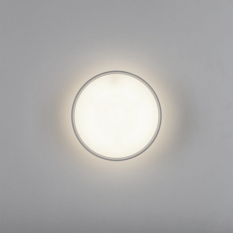 Накладной светильник Lightstar 215946