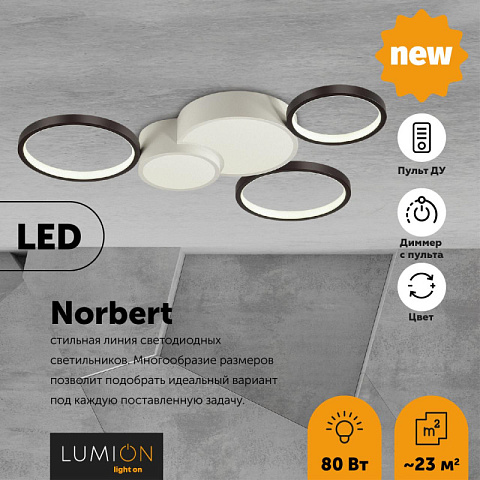 Накладной светильник LUMION 5253/80CL