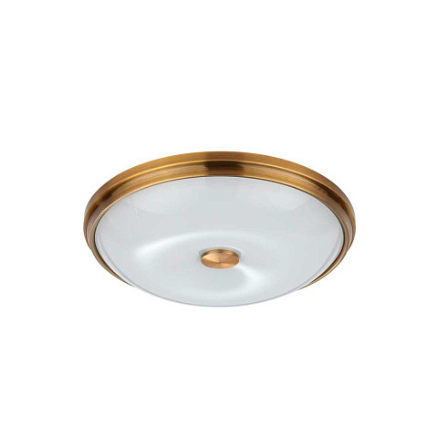 Накладной светильник Odeon Light 4956/4