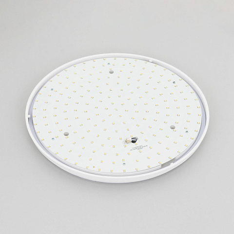 Накладной уличный светильник Citilux CL702301N