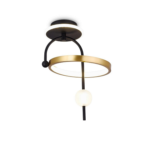 Накладной светильник Ambrella Light FL66424