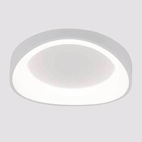 Накладной светильник ARTE Lamp A2698PL-48WH