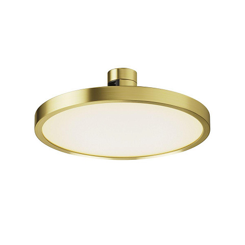 Светильник на шине Maytoni TR153-1-10W3K-BS