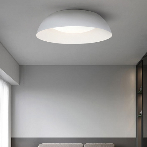 Накладной светильник ImperiumLoft 224027-23
