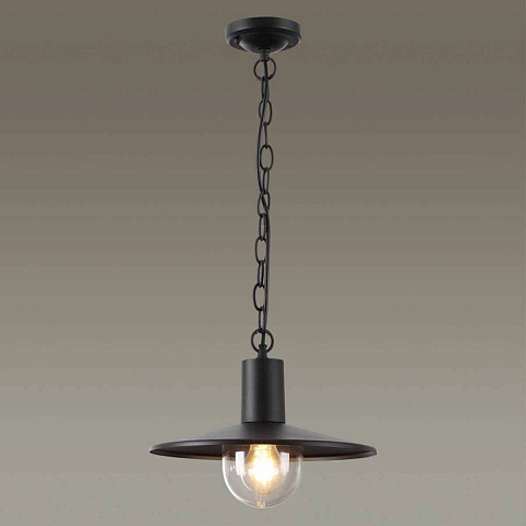Подвесной уличный светильник Odeon Light 4833/1