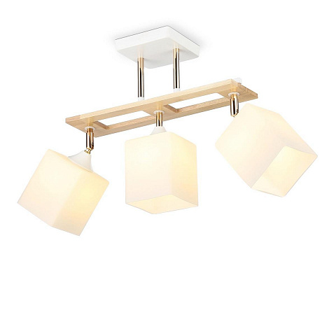 Накладной светильник Ambrella Light TR9505
