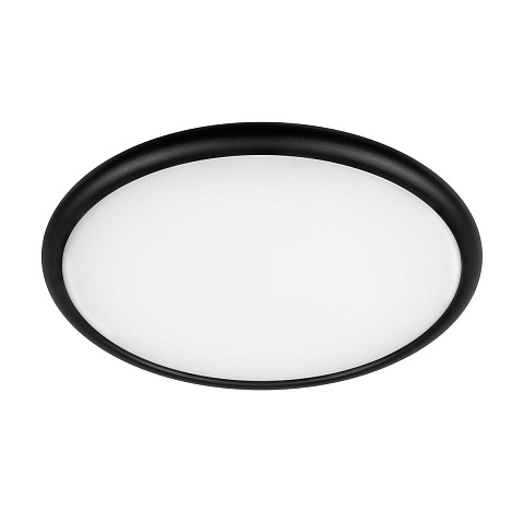 Накладной светильник LOFT IT 10454/500 Black