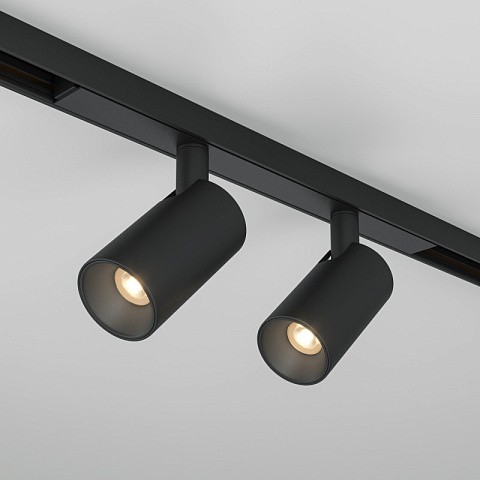 Светильник на шине Maytoni TR176-1-2X5WTW-M-B