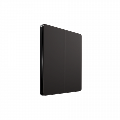 Systeme Electric Systeme Infinity Полярная ночь Выключатель/Переключатель 2-клавишный, 10А
