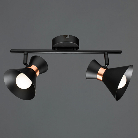 Спот ARTE Lamp A1406AP-2BK