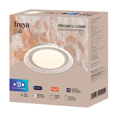 Накладной светильник Freya FR6243CL-L106W