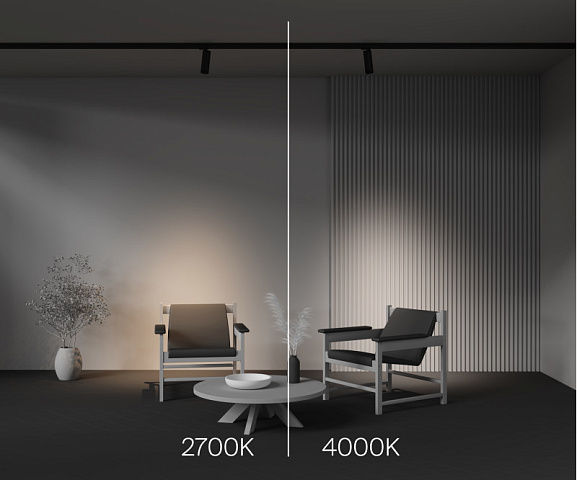 Светильник на шине Maytoni TR198-3-20W2.7K-Z-B