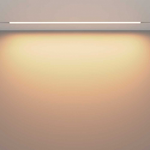 Трековый светодиодный светильник Maytoni Technical Exility Basis TR030-2-30W3K-W