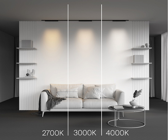 Светильник на шине Maytoni TR193-1-20W3K-M-B