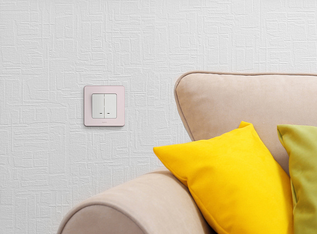 Legrand INSPIRIA Белый Выключатель двухклавишный с подсветкой/индикацией 10 AX - 250 В