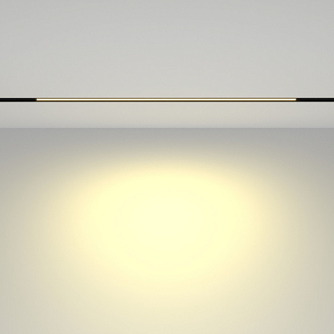 Светильник на шине Maytoni TR030-2-24W2.7K-B