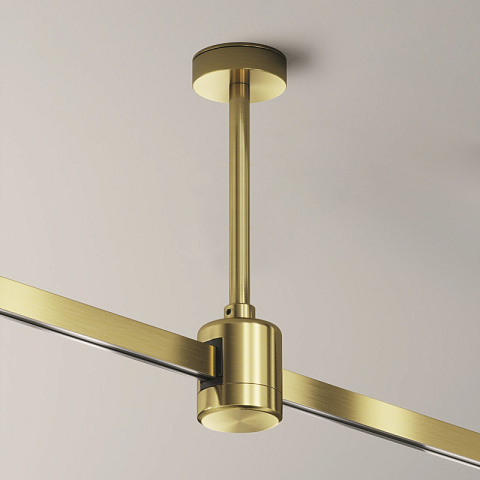 Стойка Maytoni TRA156C-IPCL1-BS