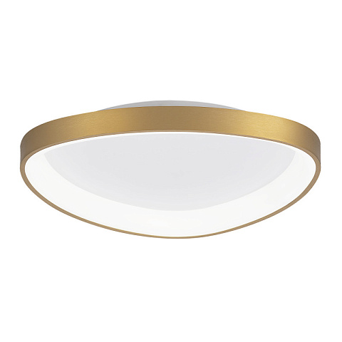Накладной светильник Citilux CL756A142
