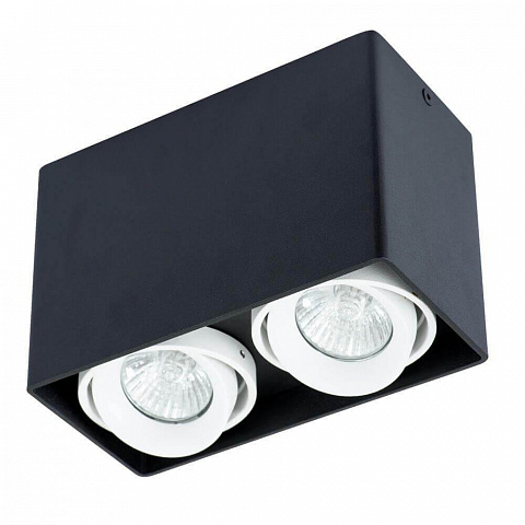 Накладной светильник ARTE Lamp A5655PL-2BK