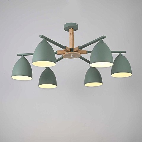 Потолочная люстра Imperium Loft Noa 6 Mint 183467-26