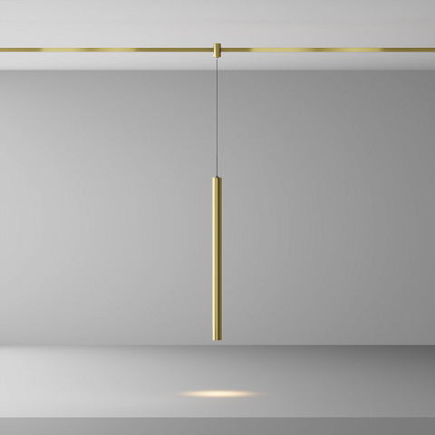 Светильник на шине Maytoni TR156-1-5W3K-BS