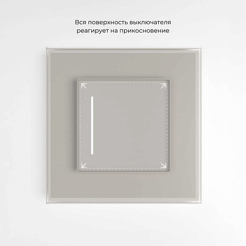 Сенсорный выключатель одноклавишный с подсветкой Werkel дымчатый W4512014 4690389213854