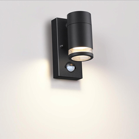 Светильник настенный Odeon Light 6605/1W