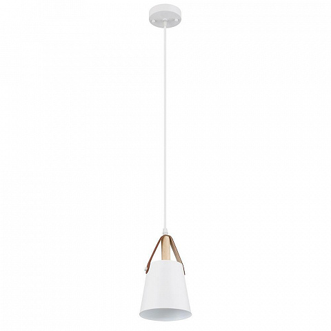 Подвесной светильник Arte Lamp THOMAS A7032SP-1WH