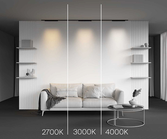 Светильник на шине Maytoni TR193-1-20W2.7K-M-B