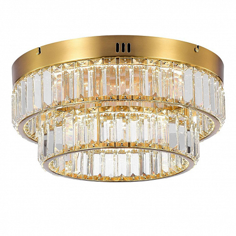 Потолочный светодиодный светильник MyFar Irina MR2011-2CL