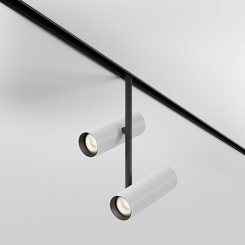 Светильник на шине Maytoni TR005-2-2X12W3K-BW