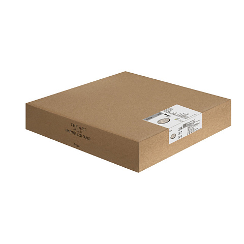 Накладной светильник Freya FR6220CL-L110W