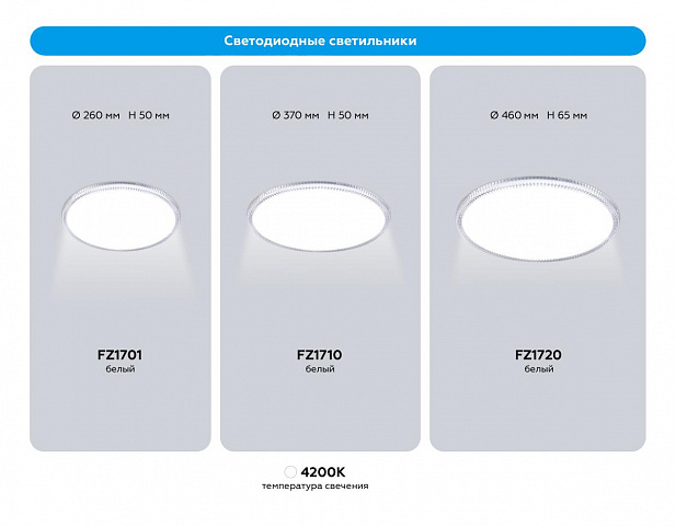 Накладной светильник Ambrella Light FZ1720