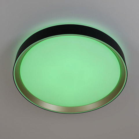Накладной светильник Citilux CL751351G