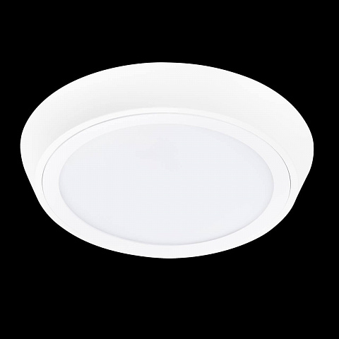 Влагозащищенный светильник Lightstar 216902