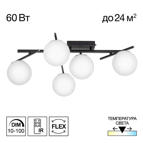 Накладная люстра Citilux CL223152