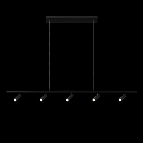 Спот LOFT IT 10260/5 Black