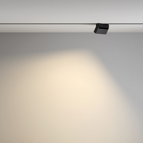 Светильник на шине Maytoni TR077-2-10W3K-B